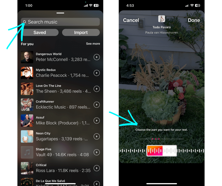 the Audio button lets you select audio from the Instagram music library or import it from your device